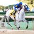 Cupid Brings Home Sixth Rebel Victory For Baffert